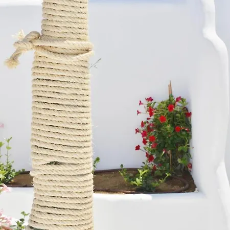 Naxian Album Kaliope With Private Pool In Naxos Βίλα *
